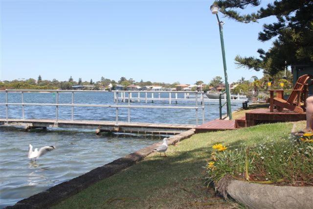 Black Swan Waterfront Motel (Adults Only) Swansea Exterior photo
